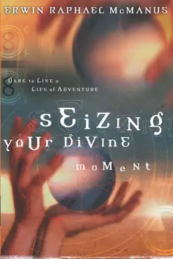 seizing your divine moment book cover image