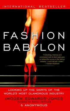 fashion babylon book cover image
