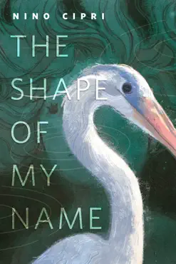 the shape of my name book cover image