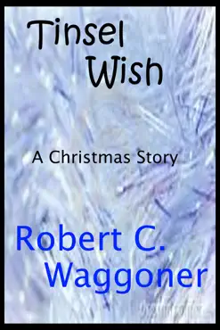 tinsel wish book cover image