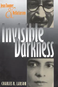 invisible darkness imagen de la portada del libro