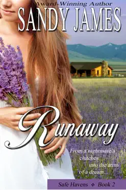 runaway (safe havens 2) book cover image