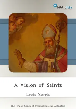 a vision of saints book cover image