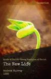 The New Life synopsis, comments