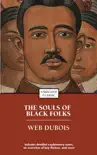The Souls of Black Folk synopsis, comments