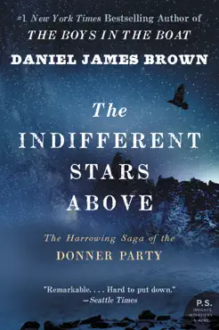 the indifferent stars above book cover image