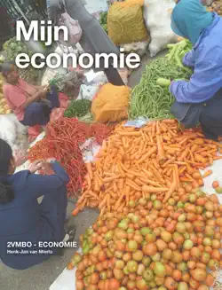 mijn economie book cover image
