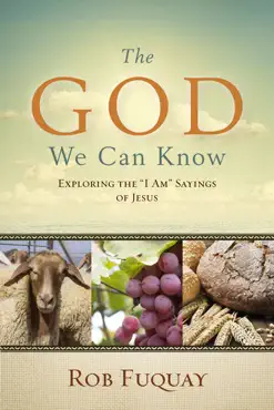 the god we can know book cover image