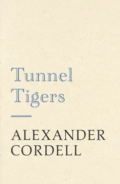 tunnel tigers book cover image