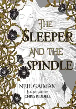 the sleeper and the spindle book cover image