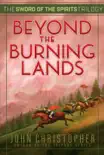 Beyond the Burning Lands synopsis, comments