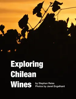 exploring chilean wines imagen de la portada del libro