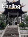 Pictures from Nanjing synopsis, comments
