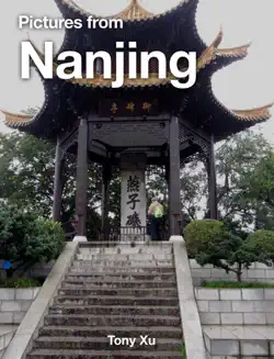 pictures from nanjing book cover image