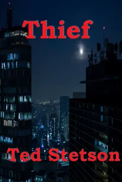 thief book cover image