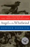 Angel in the Whirlwind synopsis, comments