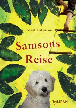 samsons reise book cover image