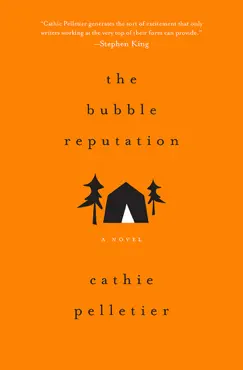 the bubble reputation book cover image