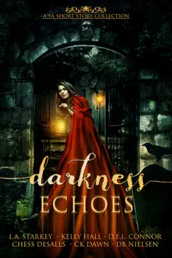 darkness echoes book cover image