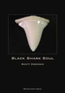 black shark soul book cover image