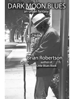 dark moon blues book cover image