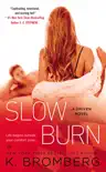 Slow Burn synopsis, comments