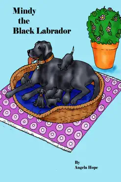 mindy the black labrador book cover image