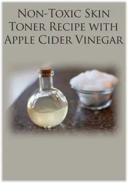 non-toxic skin toner recipe with apple cider vinegar book cover image