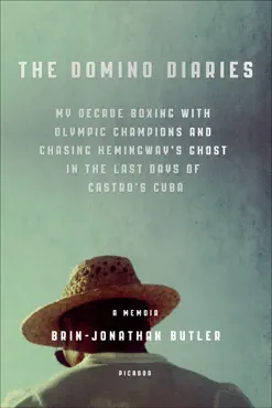 the domino diaries book cover image