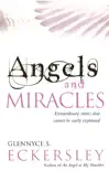 Angels And Miracles synopsis, comments