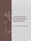 Frankenstein or The Modern Prometheus sinopsis y comentarios