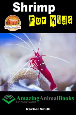 shrimp for kids imagen de la portada del libro