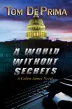 A World Without Secrets synopsis, comments