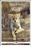 Meet the Wolf: A 15-Minute Book for Early Readers sinopsis y comentarios