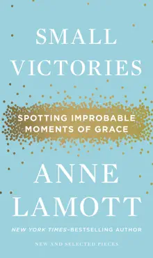 small victories book cover image