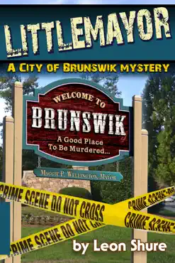 littlemayor, a city of brunswik mystery book cover image
