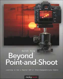 beyond point-and-shoot book cover image