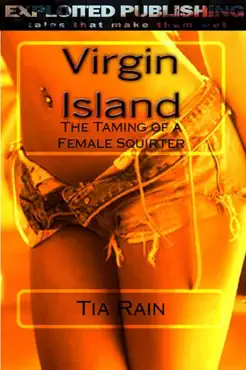 virgin island book cover image