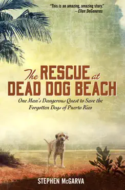 the rescue at dead dog beach book cover image