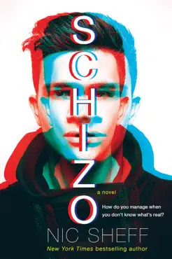 schizo book cover image