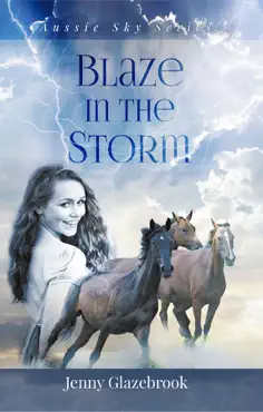 blaze in the storm book cover image