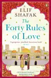The Forty Rules of Love sinopsis y comentarios