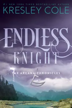 endless knight book cover image