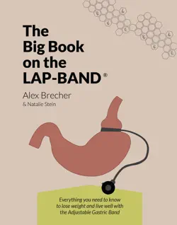 the big book on the lap-band book cover image