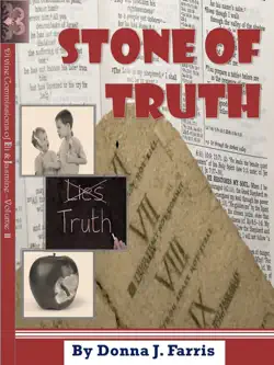 stone of truth book cover image