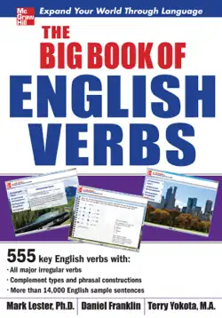 the big book of english verbs book cover image