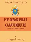 Evangelii Gaudium sinopsis y comentarios