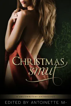 christmas smut book cover image