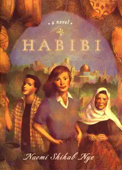 habibi book cover image