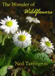 The Wonder of Wildflowers synopsis, comments